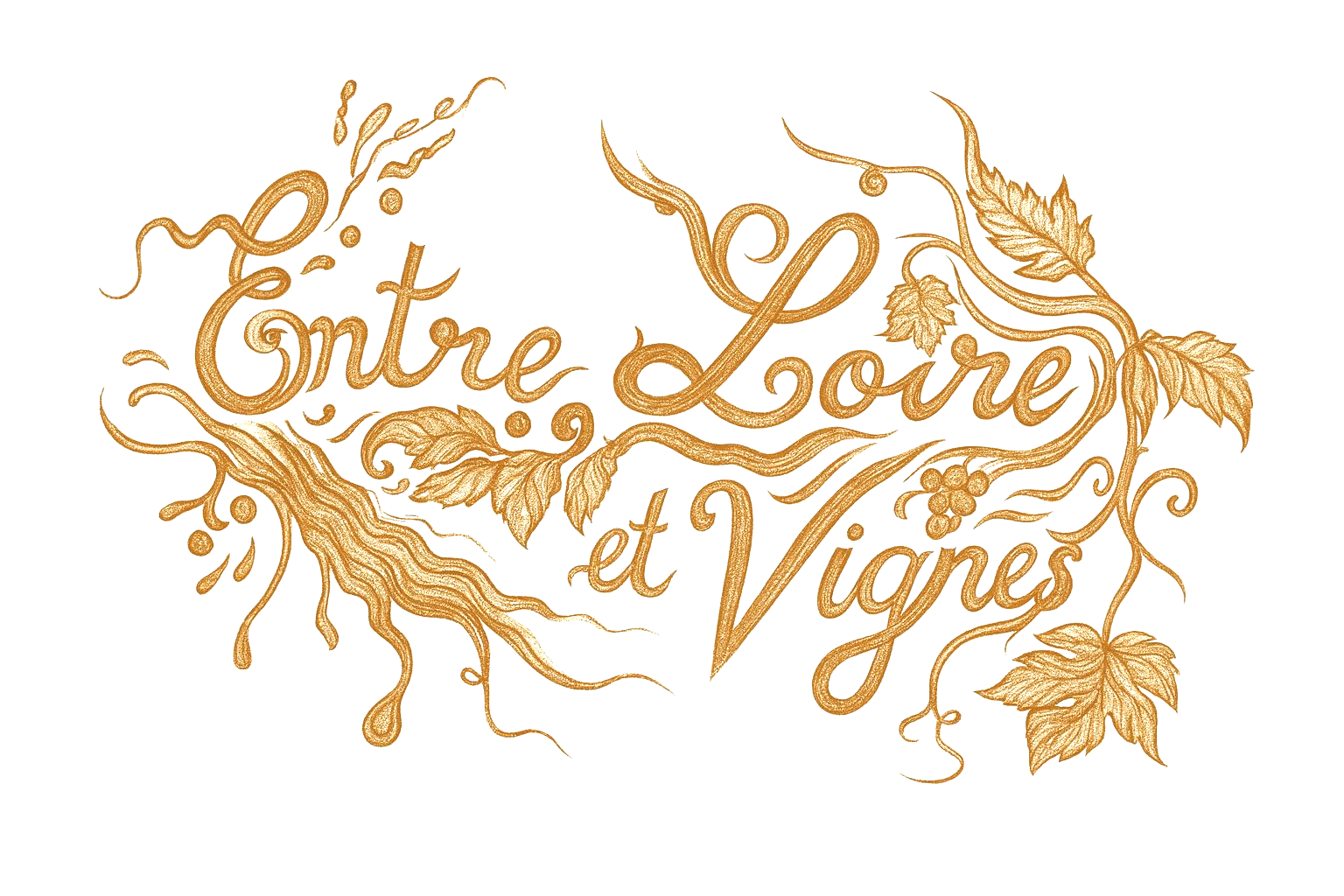 Gite Entre Loire et Vignes